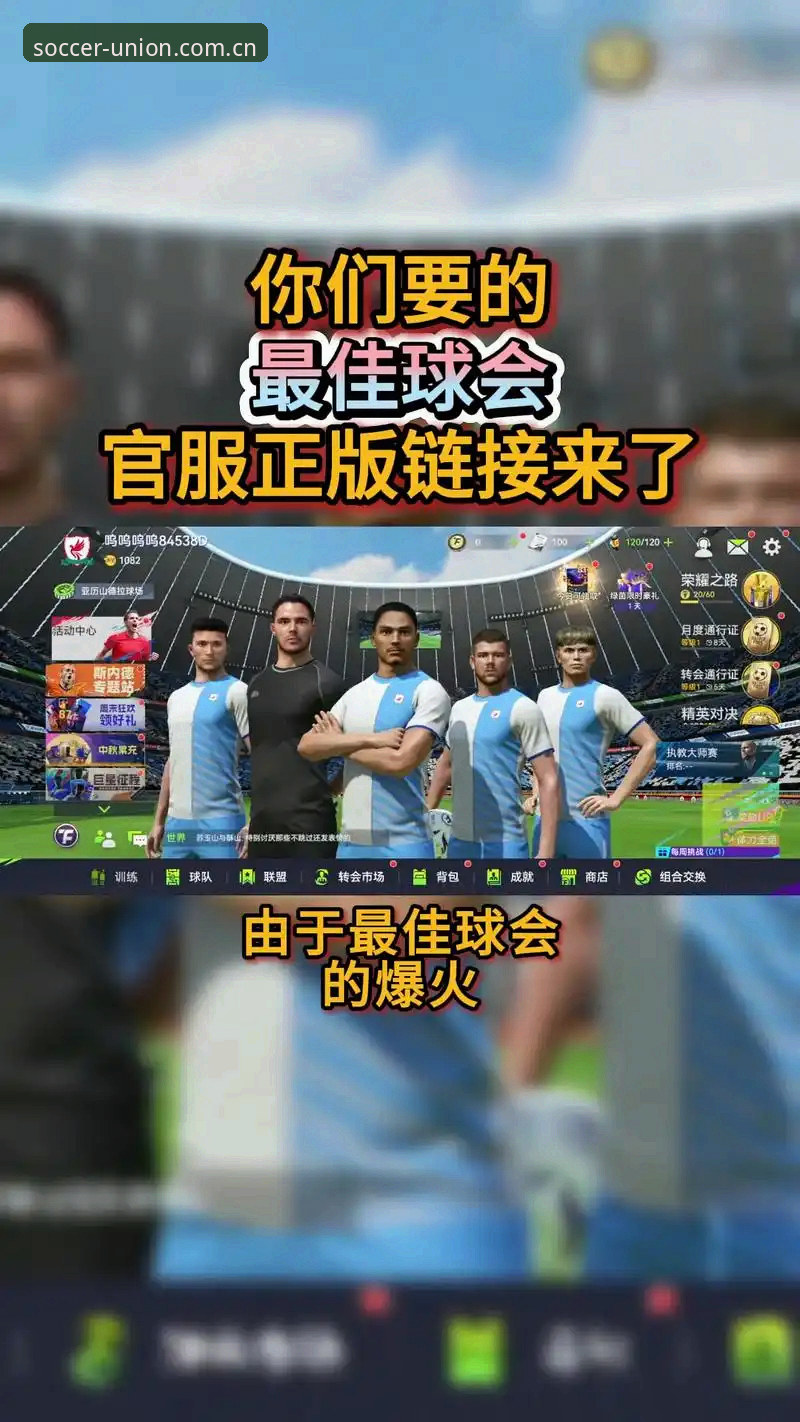 深度揭秘球盟会用户体验使用技巧：资深玩家教你玩转专业体育平台